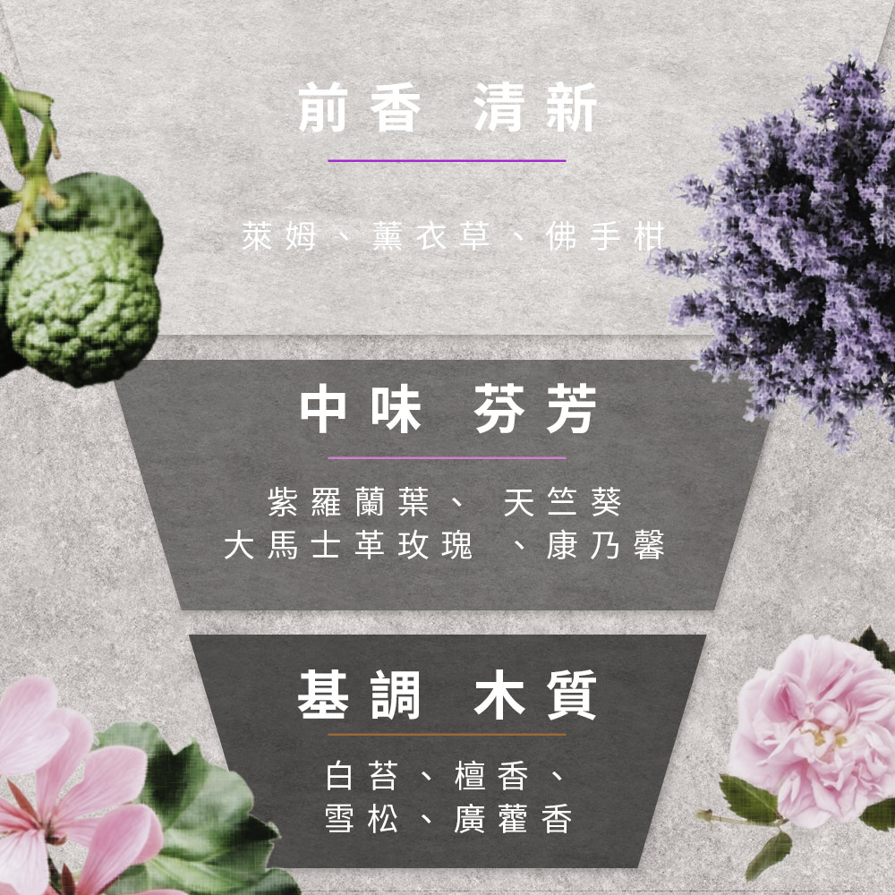 前香 清新萊姆、薰衣草、佛手柑中味芬芳紫羅蘭葉、 天竺葵大馬士革玫瑰 、康乃馨基調 木質白苔、檀香、雪松、廣藿香